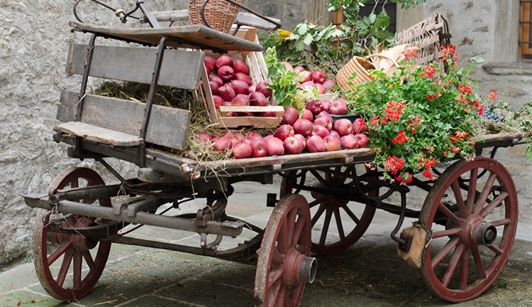 Apple and Grapes Fair Apple and Grapes Fair