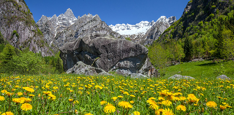 http://www.valtellina.it/flex/images/c/1/e/D.0466ed4d79f9a69acf5c/750_370_val_masino.jpg