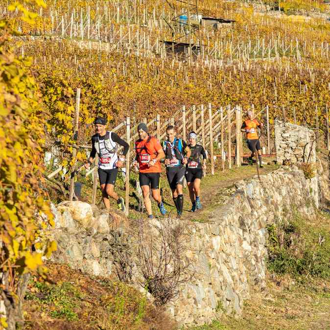 Valtellina Wine Trail 2024 Valtellina