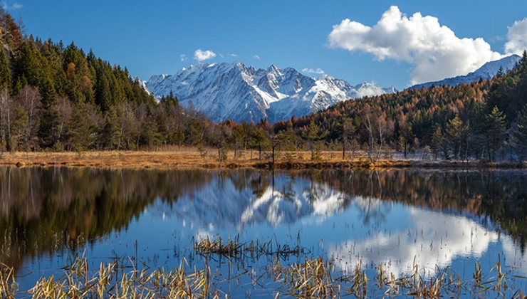   La Riserva Naturale di Pian Gembro sorge su una torbiera di origine glaciale, a breve distanza da Aprica