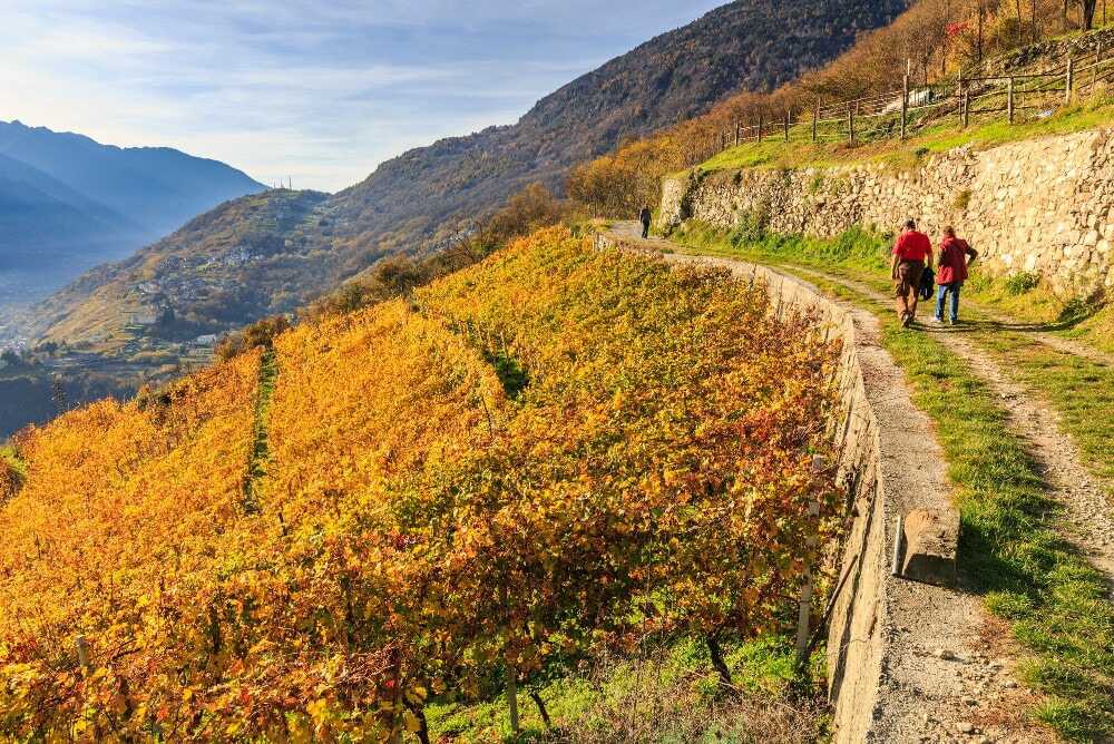 Foliage In Autunno Passeggiate In Montagna Valtellina