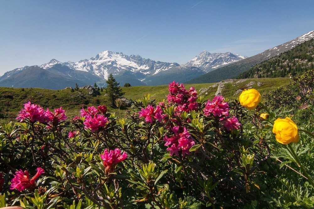 Val Vezzola, in Valdidentro