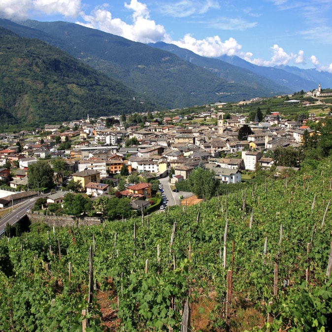Grappolo d'Oro 2019 - Chiuro Grappolo d'Oro 2019 - Chiuro