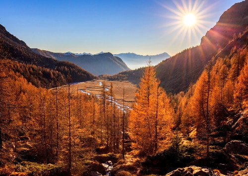 Foliage in autunno - passeggiate in montagna - Valtellina