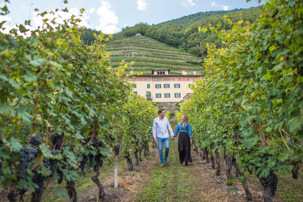 Passeggiate nei vigneti