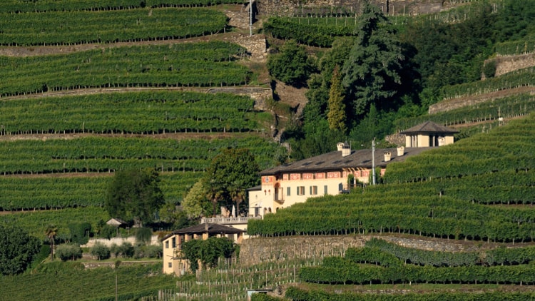 Scopri la Via dei Terrazzamenti, uno splendido itinerario ciclo-pedonale di 70 km in Valtellina che collega Tirano a Morbegno toccando paesaggi da favola