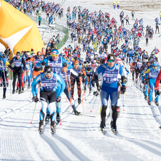 Sgambeda 2019 Sgambeda 2019