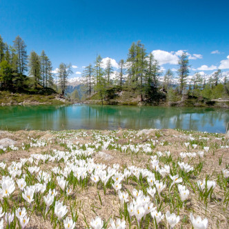 laghi della Valtellina