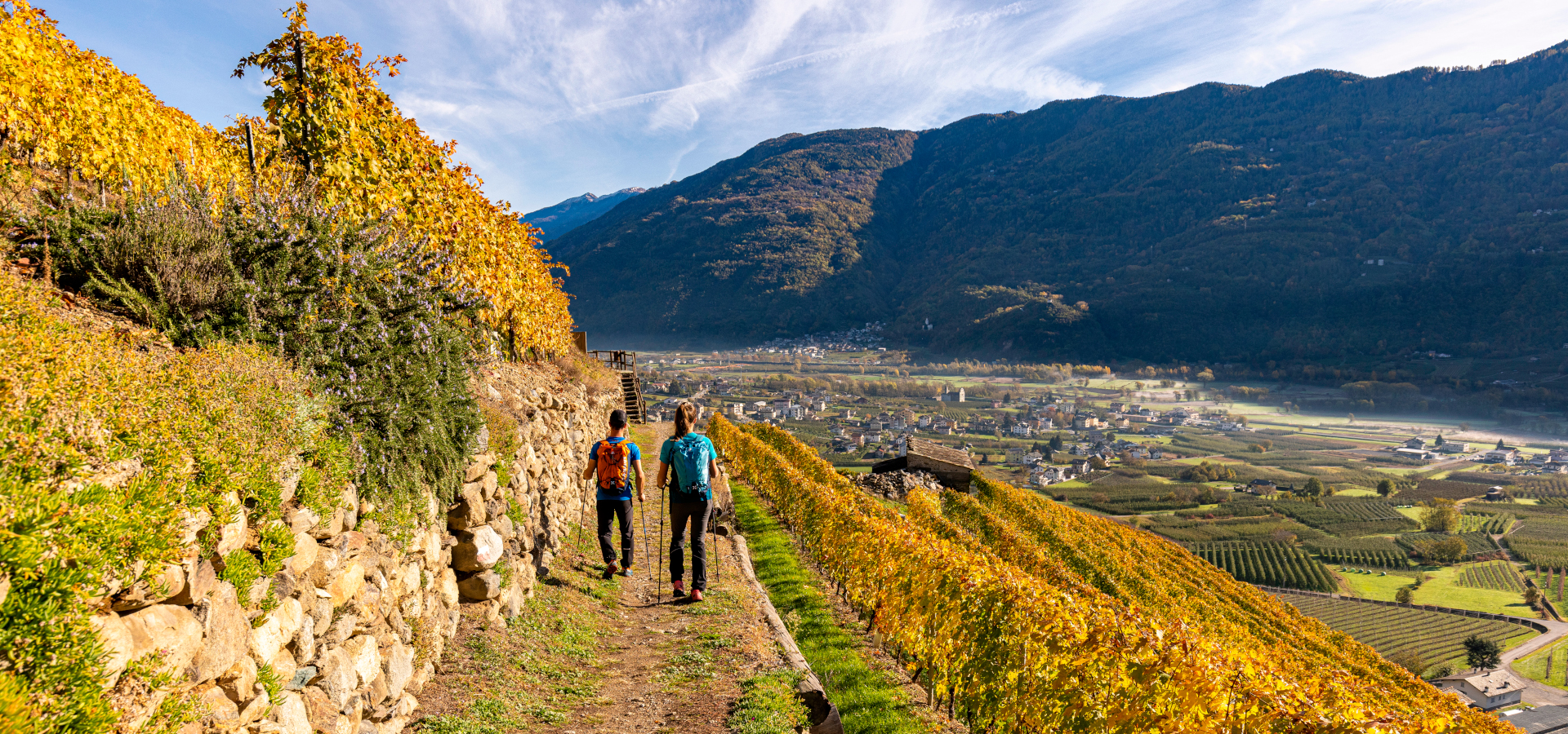 Ciaspole