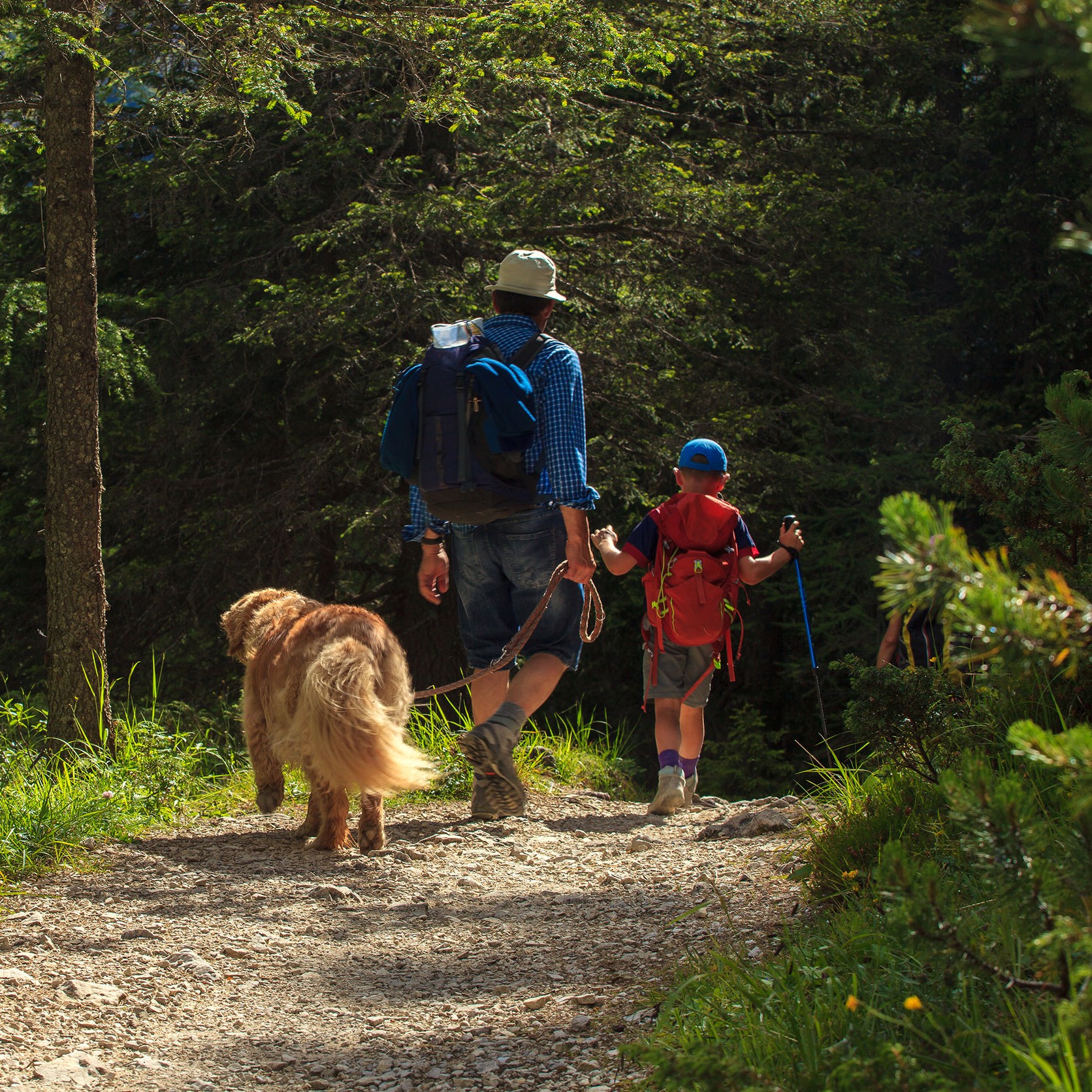 vacanze in famiglia in montagna