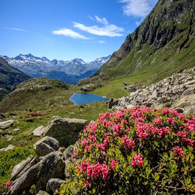 laghi della Valtellina