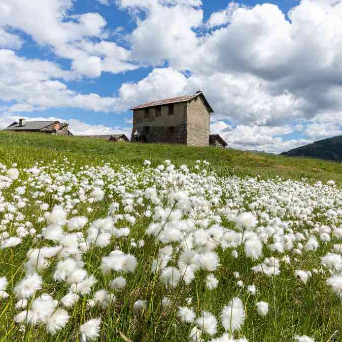 valtellina