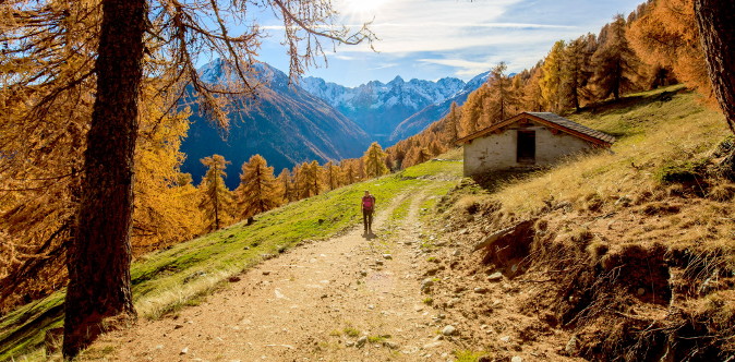 Estate in Valtellina