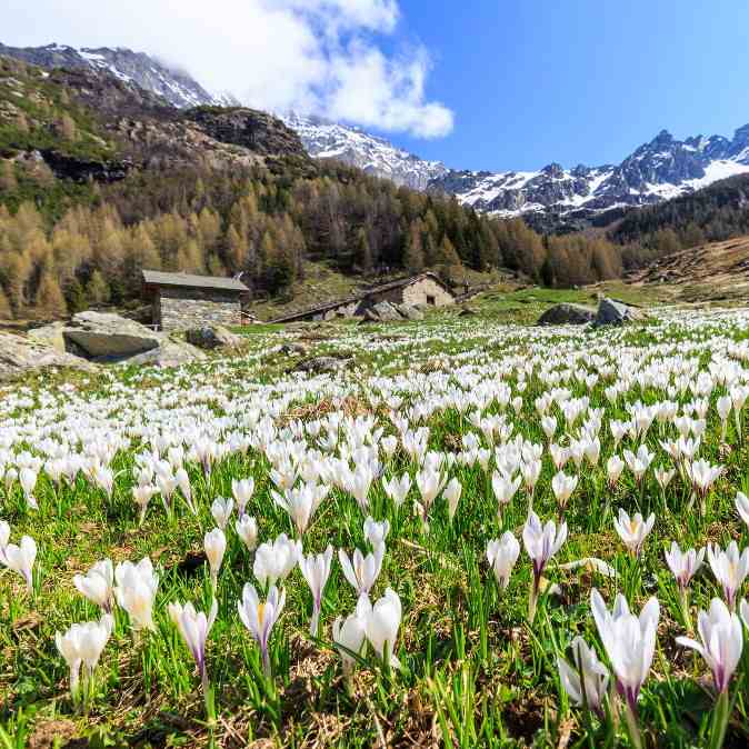 valtellina