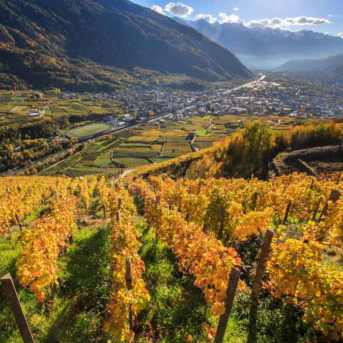 valtellina