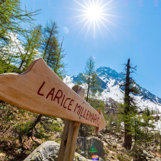 laghi della Valtellina