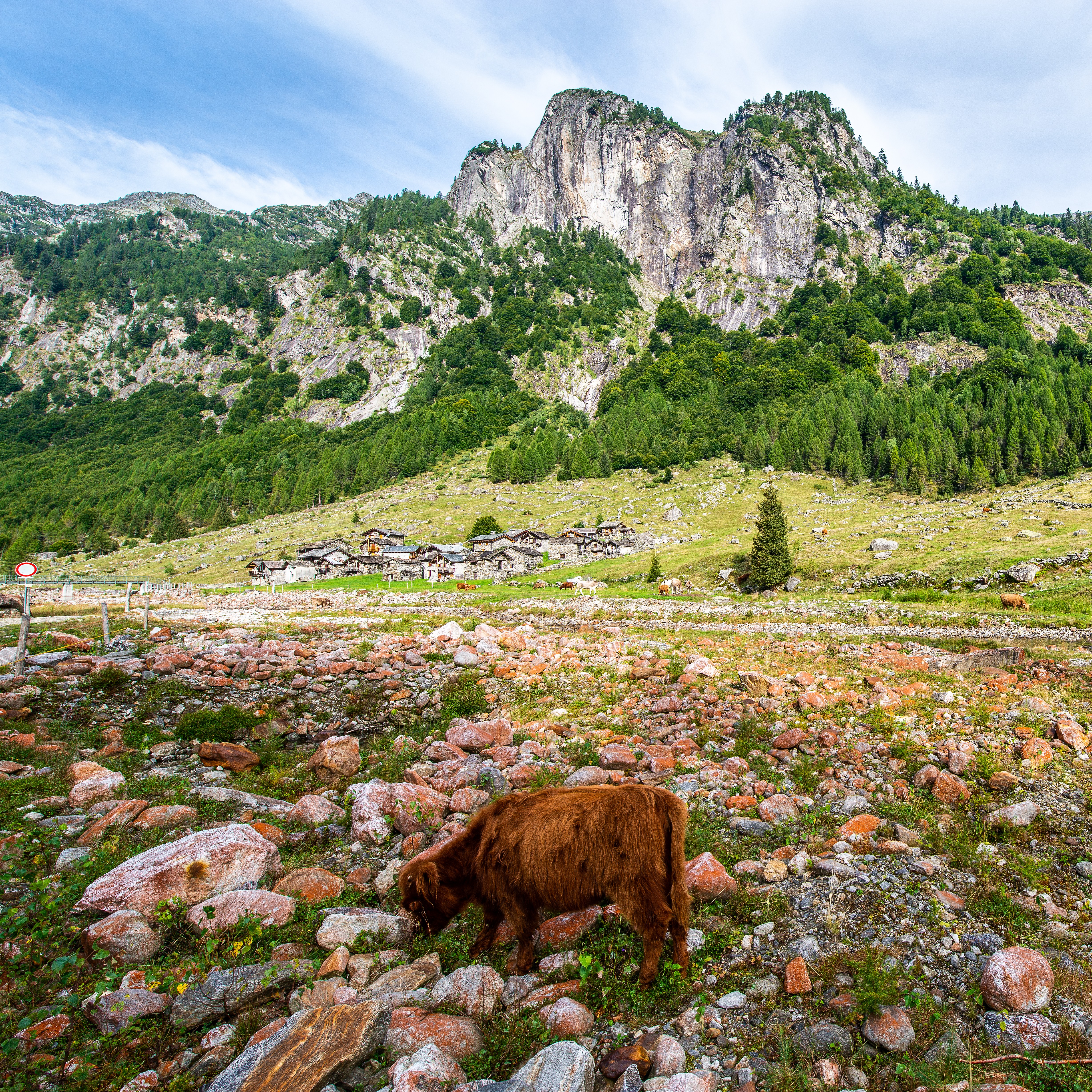 valtellina